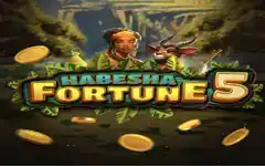 Habesha Fortune 5 by SmartSoft at Dash Bet